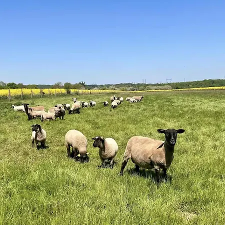 Le Domaine De - Echappee Belle En Tribu Flancourt-Crescy-en-Roumois
